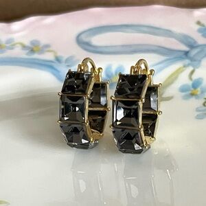 ✨Anthropologie Cecilia Earrings